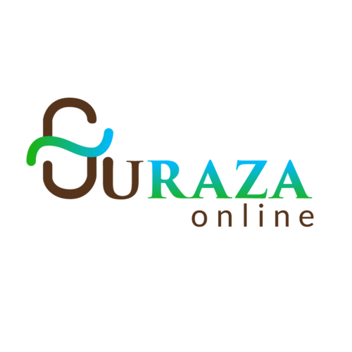 Branding - Image 12