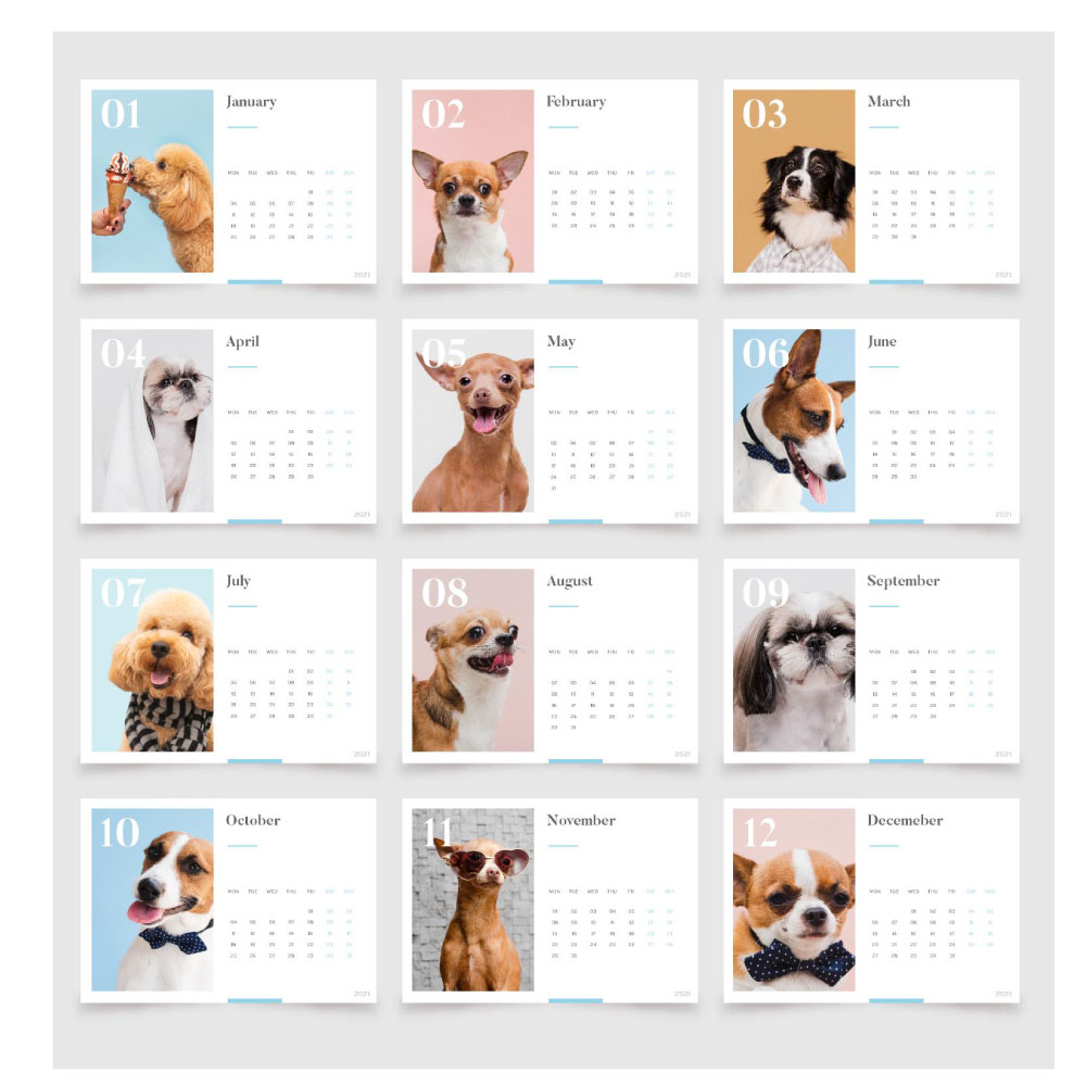 donde imprimir el calendario con fotos de mi mascota